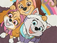 Name It arctic dusk Paw Patrol top 